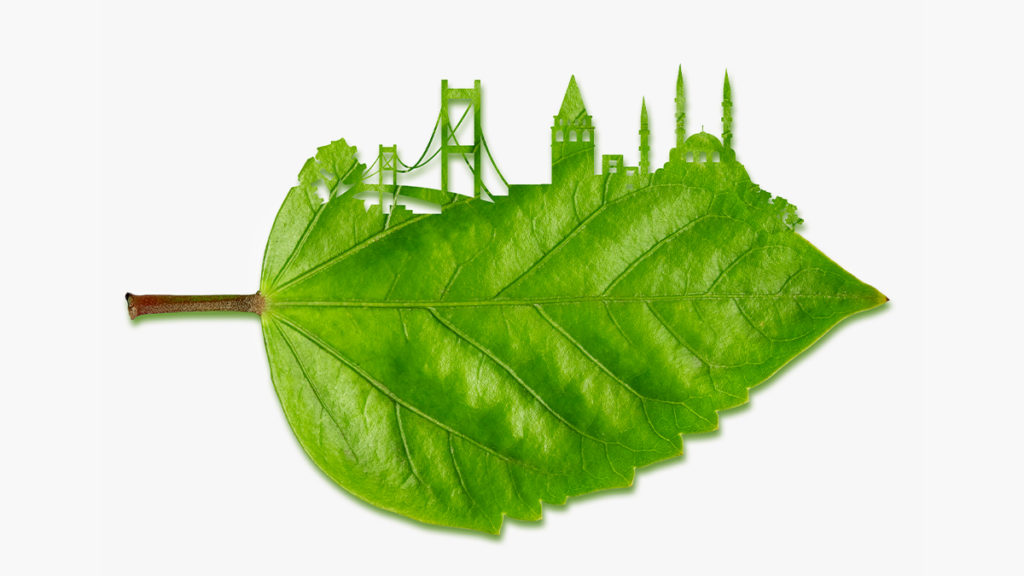 A Step Toward Making Your Company More Sustainable