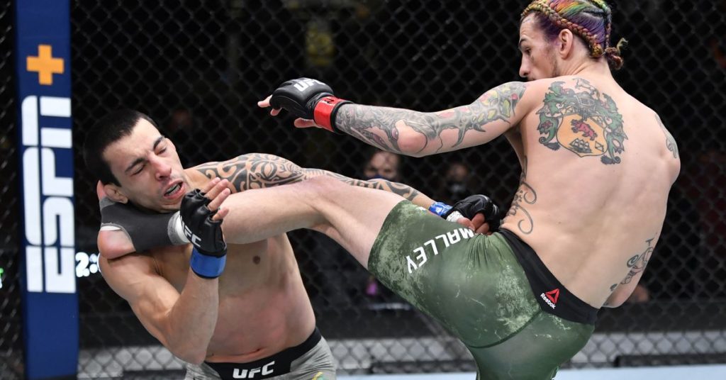 Sean O’Malley vs. Thomas Almeida full fight video highlights