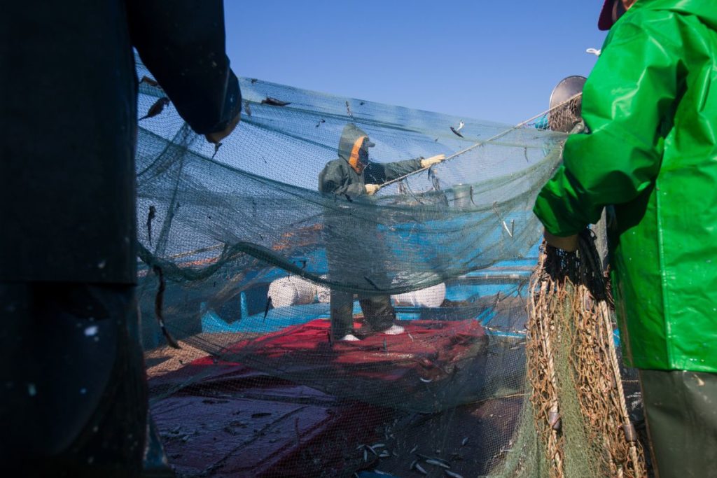 US Blocks Seafood From Chinese Fleet Over Crew Mistreatment