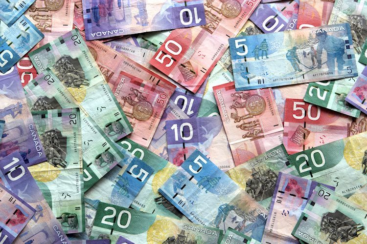 Canadian Dollar sheds further weight, slides into fresh multi-year lows