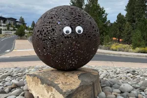 Oregon city asks people to please stop putting googly eyes on public art as prank becomes tourist attraction