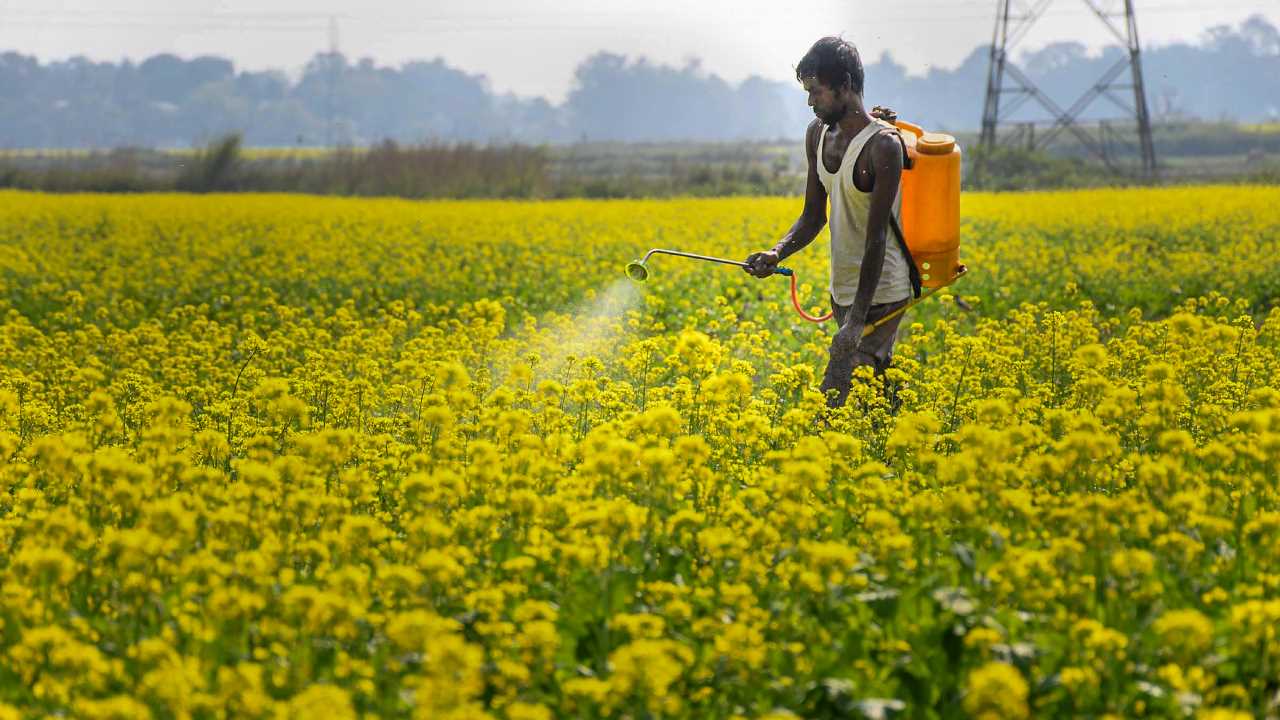 Budget 2025: How it could strengthen India’s agricultural backbone